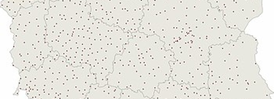 SKI Partia Polska Profile Picture