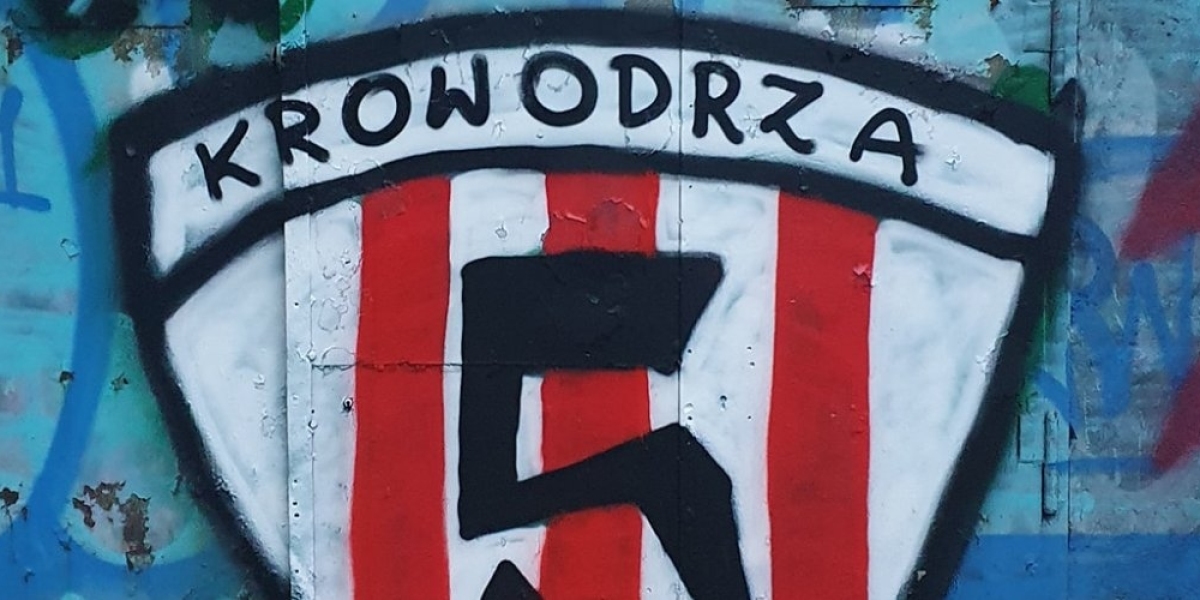 Polska Sieć Społecznościowa pod opieką SKI w mojej osobie.